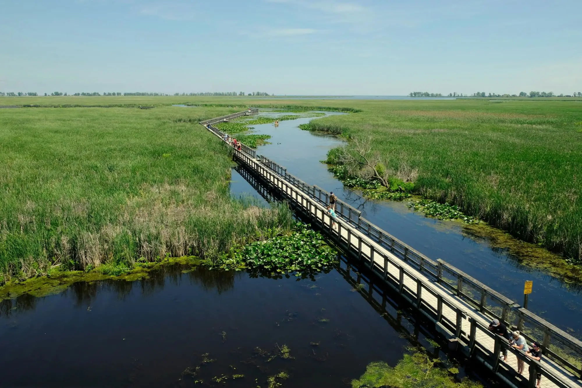 A boardwalk running out across a wetland, with open water and reed on either side.