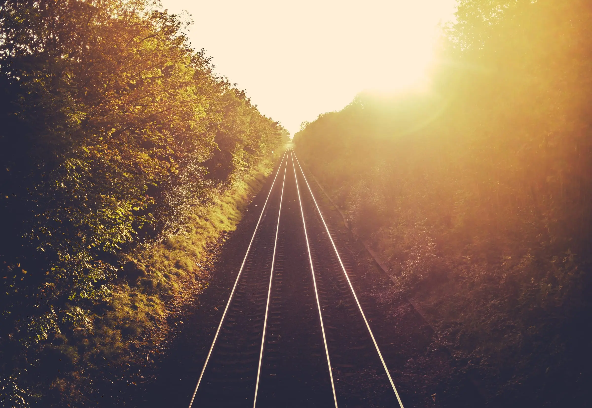 A railway line seen from track level, running between wooded embankments towards a low sun.